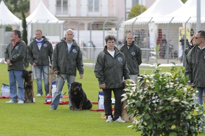Remise des Prix 081.JPG - CHIENPLUS.COM